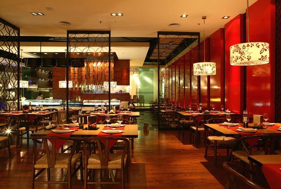 thiet ke nha hang hai san