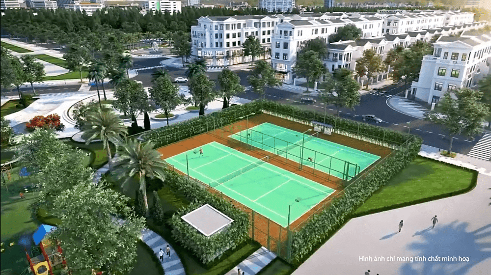 TMS Homes Wonder World