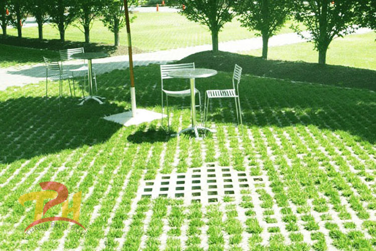 gach trong co 8 lo